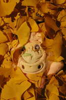 https://images.plurk.com/6XLn9T6YJG8rUprYTFvRlW.jpg