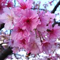https://images.plurk.com/6XSU7Q00lgVxzHhodxRNpE.jpg