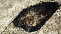 https://images.plurk.com/6XYcqhU0byycWVVGw0pTv8.jpg