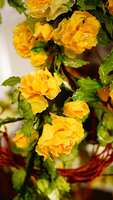 https://images.plurk.com/6XYfoRSWZzjfeuIf19AoPf.jpg