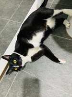 https://images.plurk.com/6XkPE7Q8hDwBsqLWwc0q5a.jpg