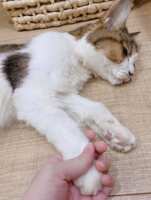 https://images.plurk.com/6XtZq2eStDNzJCh61Kpc4S.png