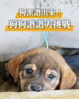 https://images.plurk.com/6Y0pzo8g82307EDrahwwiR.png