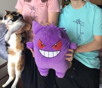 https://images.plurk.com/6Y1iQqJntuVz1K6znG0MBt.jpg