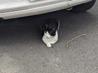 https://images.plurk.com/6Y3ff7UEZ5u1p4ea12L8E3.jpg