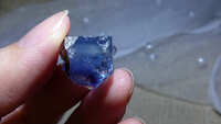 https://images.plurk.com/6Y3xue5PJC3sGvMkeiD8ZK.jpg