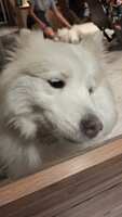 https://images.plurk.com/6Y8johRgQsTeYtNfM4PW3i.jpg