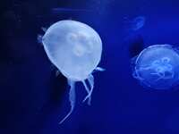 https://images.plurk.com/6YFiKj21ZwDhM9FYgZZ2mG.jpg
