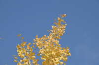 https://images.plurk.com/6YGMBKnWlvBHUsuNyxMPCd.jpg