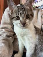 https://images.plurk.com/6YGRzLMLOxJD1VtAZ7TyFv.jpg