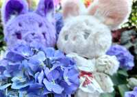 https://images.plurk.com/6YMkWGxiCQRUveXVofIq4m.jpg