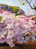 https://images.plurk.com/6YfDr85DBnf933NkCT4TdR.png