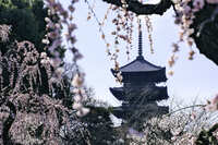 https://images.plurk.com/6Yg7MA32HrRfq1RVZMrWt6.jpg