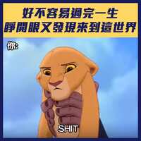 https://images.plurk.com/6YwL9i4UQgZ32uW3AI2DHZ.jpg