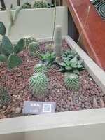 https://images.plurk.com/6Z0kcN5iPsNgYMxGYD2Qof.jpg