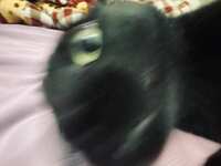 https://images.plurk.com/6Z6rzesPXjgq7isgPDIsTO.jpg