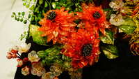 https://images.plurk.com/6Z73ZrTbQu3iCkps91ASGF.jpg