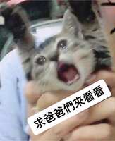 https://images.plurk.com/6ZFD2RnJoTgaeFQhXmfjkV.jpg