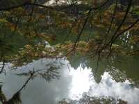 https://images.plurk.com/6ZNRBnahB0Q6XPKOnxcStF.jpg