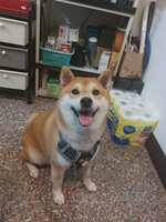 https://images.plurk.com/6ZNwN5OERWEe1GLSHakYnF.jpg