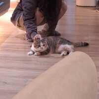 https://images.plurk.com/6ZQDVraTFf9M5y9PWFJy8d.jpg