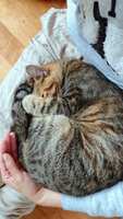 https://images.plurk.com/6ZRLRLaiIo2Oq5BbnY77Rd.jpg