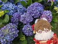 https://images.plurk.com/6ZVsj9S297XViTyGi479zL.jpg