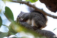 https://images.plurk.com/6ZWxFyGINNSbbDsBypNchm.jpg
