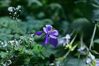 https://images.plurk.com/6ZhvHJX9r1OcUaAUO5gWcp.jpg