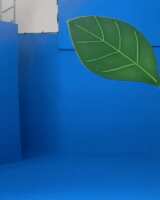 https://images.plurk.com/6Zm3OvlfEEVu5wS5vmMliH.gif