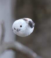 https://images.plurk.com/6ZnkDSk9h7vSK16g0veayE.jpg