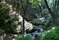 https://images.plurk.com/6ZqbTh3koD96s3etcCgSdW.jpg