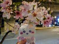 https://images.plurk.com/6ZutzxNd4FJ3mXMCpmuXfK.jpg