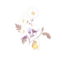 https://images.plurk.com/6Zvzo60LHgDTqlpR6zGRLY.png
