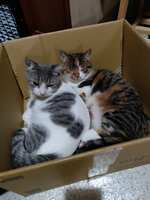 https://images.plurk.com/6ZxJdQsXC1AAFkLnxubUaP.jpg