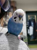 https://images.plurk.com/6a32MJSR21US9eeUHaJzSy.jpg