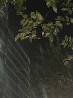 https://images.plurk.com/6a6KqxHHEfNDvRZTI2ZgWQ.jpg