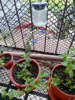 https://images.plurk.com/6a7vFSltwqGCmjXnrhSd98.jpg