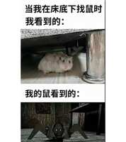 https://images.plurk.com/6a8P3HAKN3tSY0LVr5T1zz.jpg