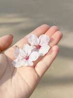 https://images.plurk.com/6aEk8HDuBqpmh1OBat0USd.jpg