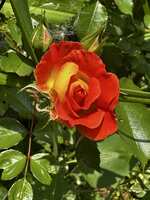 https://images.plurk.com/6aIuJGOlkWIanLSXTMdgmP.jpg