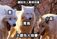 https://images.plurk.com/6aXA6K7bC8xE4mlJBiicQb.jpg