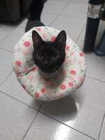 https://images.plurk.com/6abpybBqOyGxmhFUo593vF.jpg