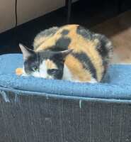 https://images.plurk.com/6adSiiYmKYEL1SVTcH5ezV.jpg