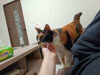 https://images.plurk.com/6anP9dT2TLZZ7rlDTiFZaX.jpg