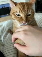 https://images.plurk.com/6asqKSjwDBeDHXEq7q1zWr.jpg