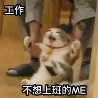 https://images.plurk.com/6asyAcMMy43OfjtHPunItR.jpg