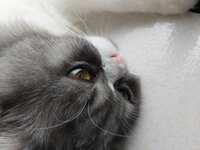 https://images.plurk.com/6b1ogbtb9ifFPhmX7WXkUn.jpg