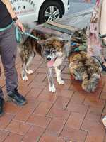 https://images.plurk.com/6b2CG8nvXqlZ8ECXP6xE6k.jpg
