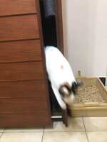 https://images.plurk.com/6bMjiccxWaqbKlSbMms9H2.jpg